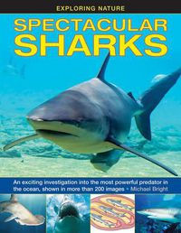 Cover image for Exploring Nature: Spectacular Sharks