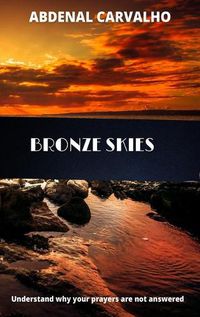 Cover image for Bronze Skies