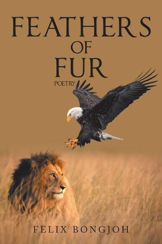 Cover image for Feathers of Fur