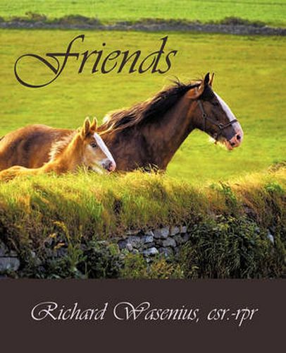 Cover image for Friends