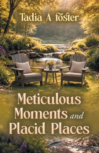 Cover image for Meticulous Moments and Placid Places