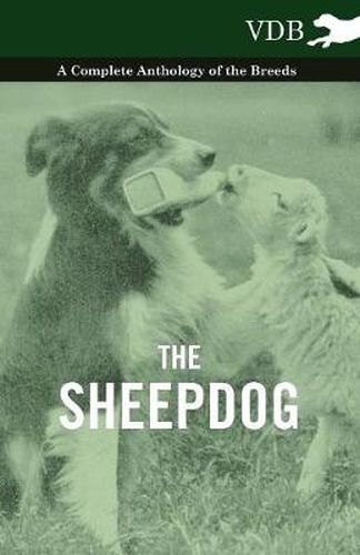 Cover image for The Sheepdog - A Complete Anthology of the Breeds