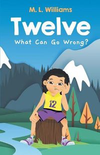 Cover image for Twelve: What Can Go Wrong?