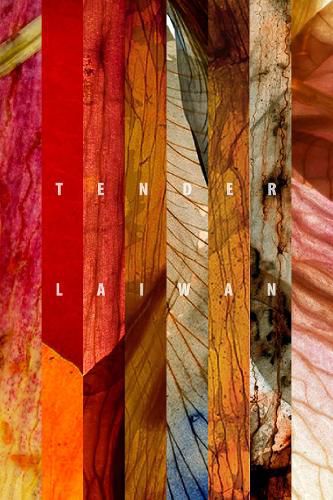 Cover image for Tender: Selected Poems