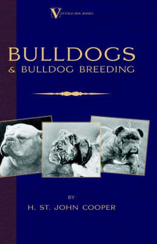 Cover image for Bulldogs and Bulldog Breeding (A Vintage Dog Books Breed Classic)