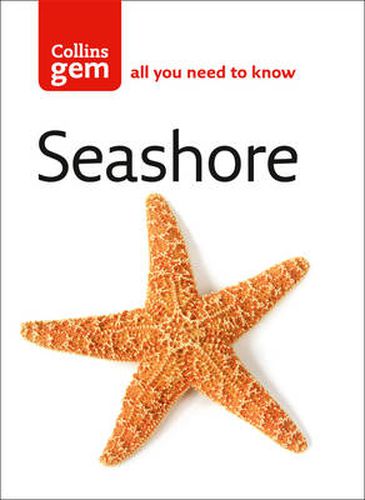 Cover image for Seashore