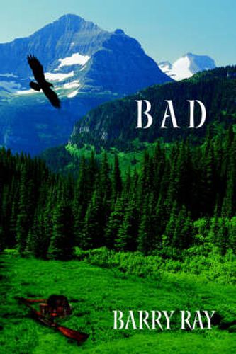 Cover image for B A D