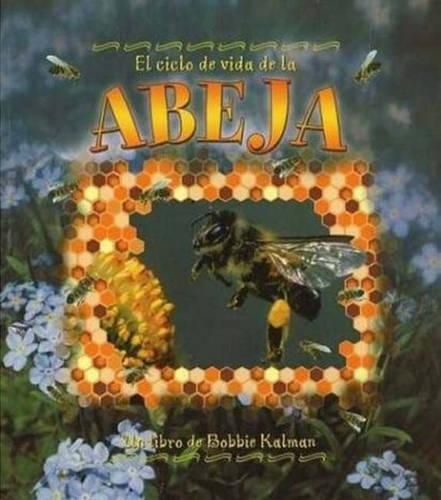 Cover image for El Ciclo de Vida de Abeja