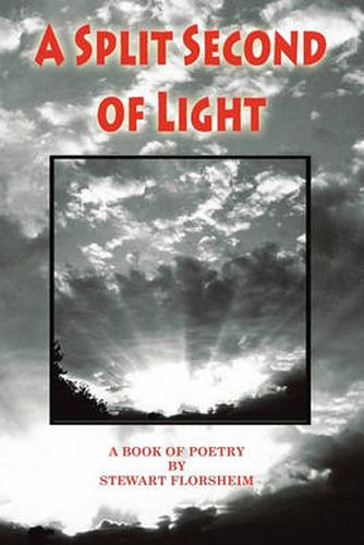 Cover image for A Split Second of Light