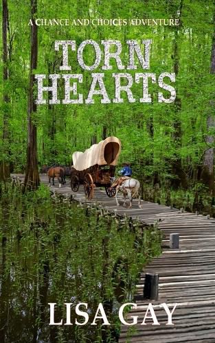 Cover image for Torn Hearts