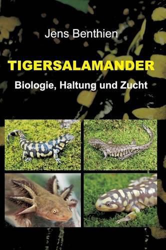 Cover image for Tigersalamander