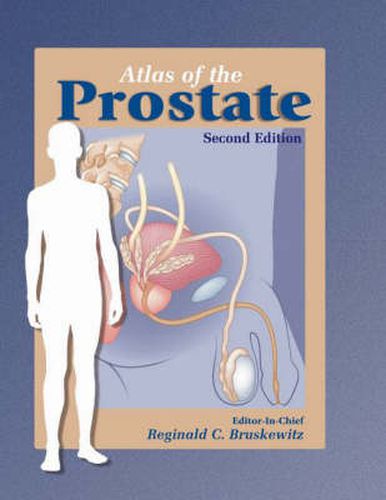 Cover image for Atlas of the Prostate