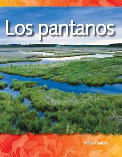 Cover image for Los pantanos (Wetlands) (Spanish Version)