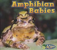 Cover image for Amphibian Babies