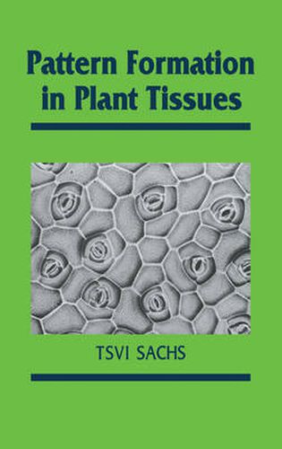 Cover image for Pattern Formation in Plant Tissues