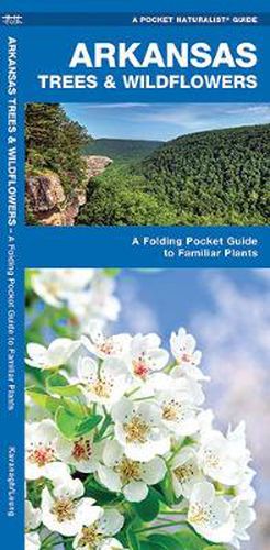 Cover image for Arkansas Trees & Wildflowers: A Folding Pocket Guide to Familiar Plants
