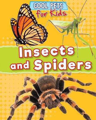 Cover image for Insects and Spiders