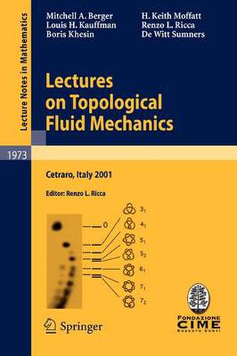 Cover image for Lectures on Topological Fluid Mechanics: Lectures given at the C.I.M.E. Summer School held in Cetraro, Italy, July 2 - 10, 2001