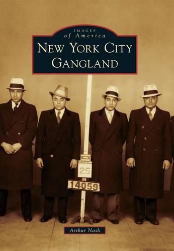 Cover image for New York City Gangland