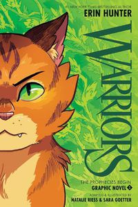 Cover image for Warriors Graphic Novel