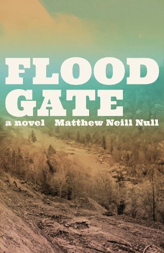 Cover image for The Floodgate