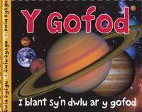 Cover image for Cyfres Dwlu Dysgu: Y Gofod