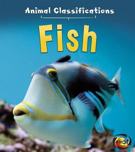 Cover image for Fish (Animal Classifications)