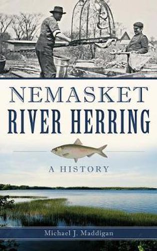 Nemasket River Herring: A History