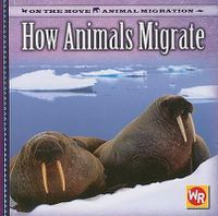 Cover image for How Animals Migrate