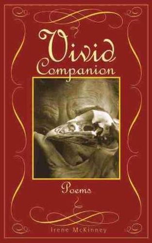 Cover image for Vivid Companion