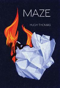 Cover image for Maze