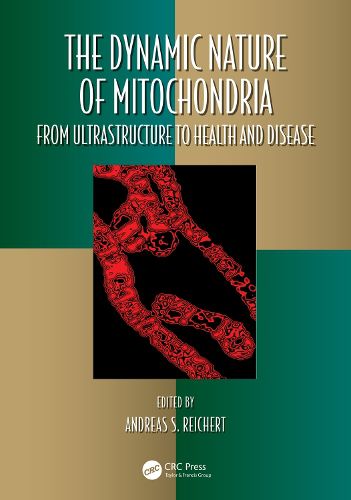 Cover image for The Dynamic Nature of Mitochondria