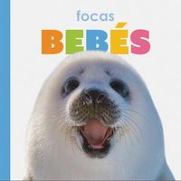 Cover image for Focas Bebes