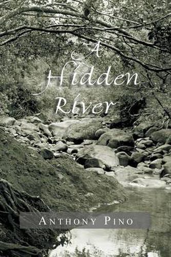 Cover image for A Hidden River