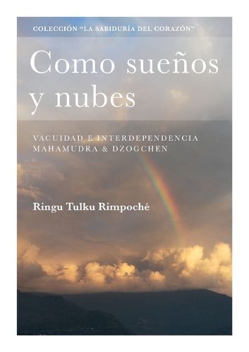 Cover image for Como suenos y nubes