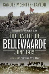 Cover image for The Battle of Bellewaarde, June 1915