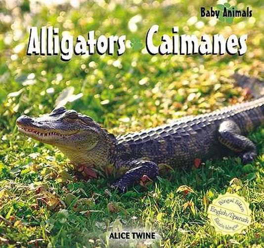 Cover image for Alligators / Caimanes