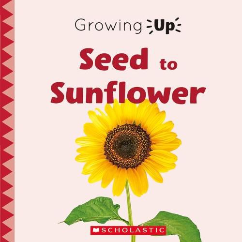 Cover image for Seed to Sunflower (Growing Up) (Paperback)