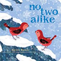Cover image for No Two Alike