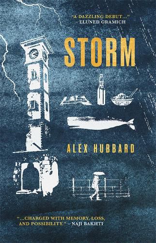 Cover image for Storm