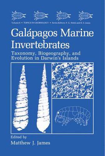 Cover image for Galapagos Marine Invertebrates: Taxonomy, Biogeography, and Evolution in Darwin's Islands