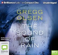 Cover image for The Sound Of Rain