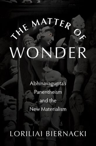 Cover image for The Matter of Wonder