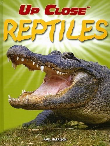 Cover image for Reptiles