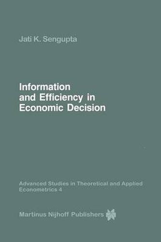 Cover image for Information and Efficiency in Economic Decision