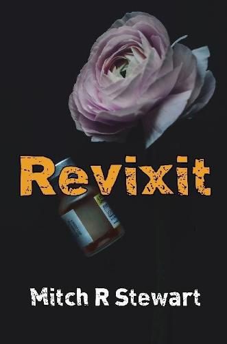 Cover image for Revixit