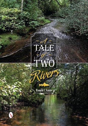 Cover image for A Tale of Two Rivers