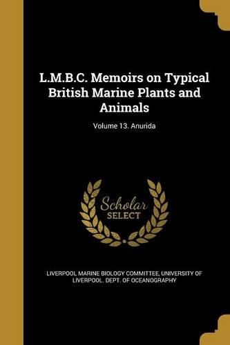 Cover image for L.M.B.C. Memoirs on Typical British Marine Plants and Animals; Volume 13. Anurida