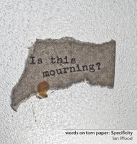 Cover image for words on torn paper: Specificity