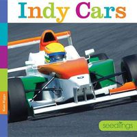 Cover image for Indy Cars